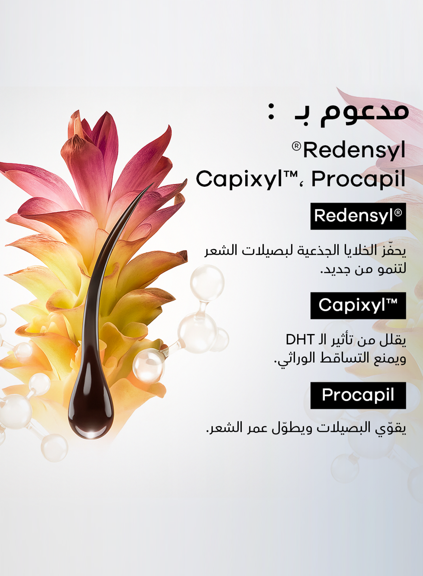 RootBioTec™ Serum – Fuller, Thicker & Healthier Hair for Men 50ml