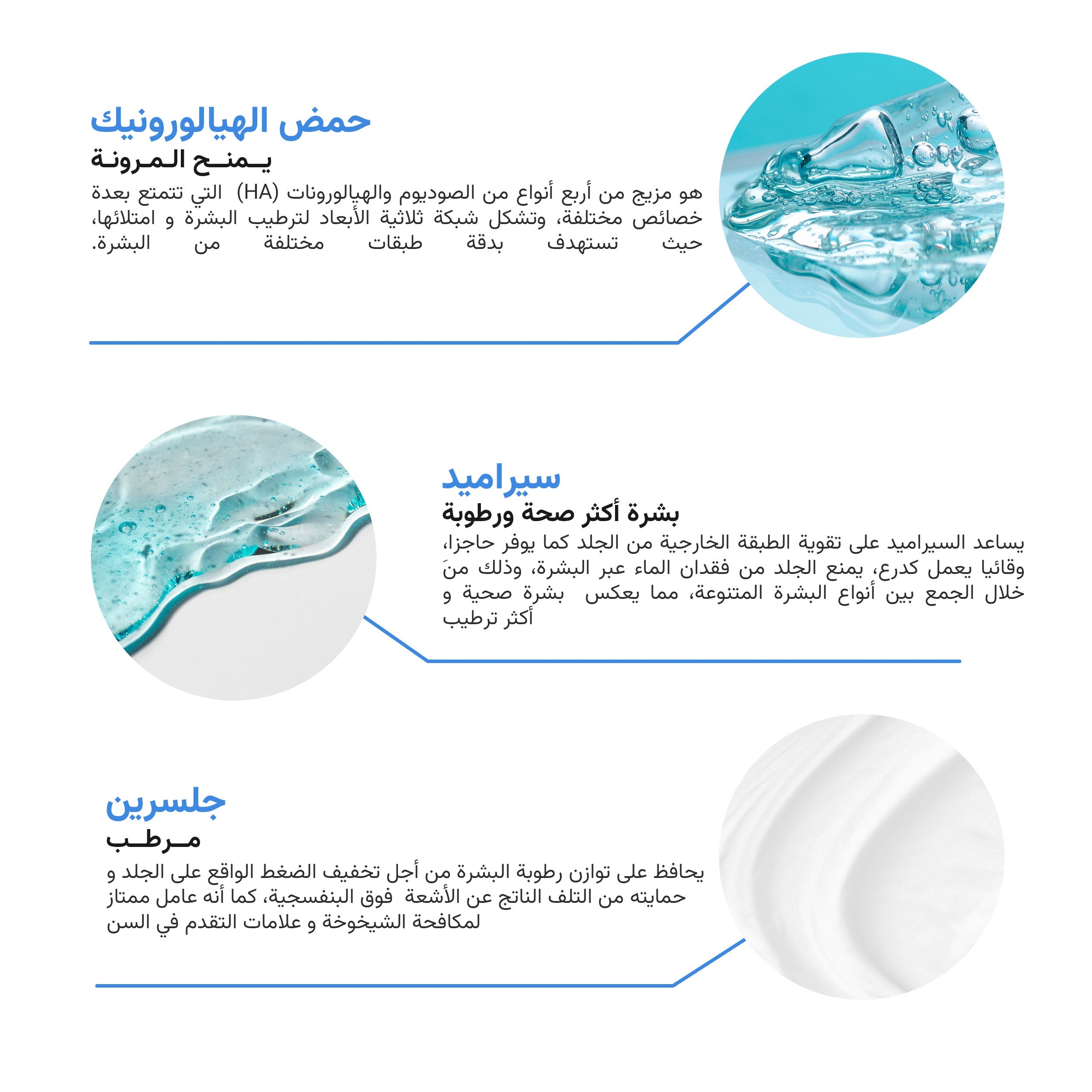 The Almond Beauty 24H Hydrating Cream with Hyaluronic Acid and Ceramide